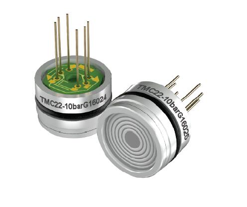 What is the structure of the piezoresistive pressure sensor - TM